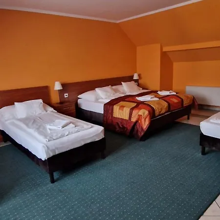 Szálloda Hotel-patonai Panzió 3*