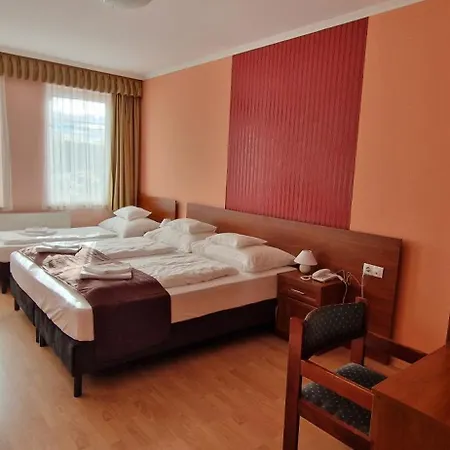 Hotel-patonai Panzió Szálloda
