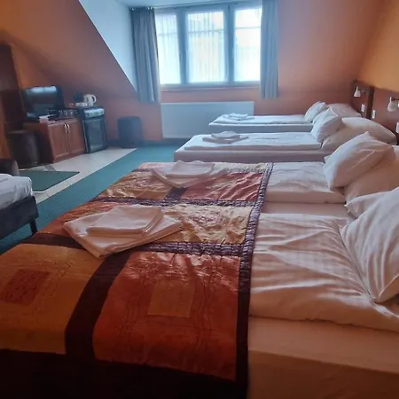 Hotel-patonai Panzió 3* Fertőd
