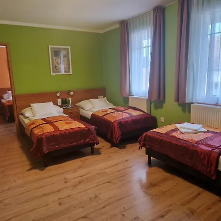 Hotel-patonai Panzió 3* Fertőd