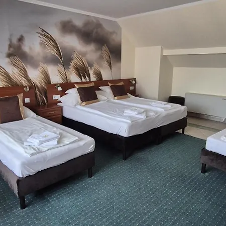 Hotel Patonai