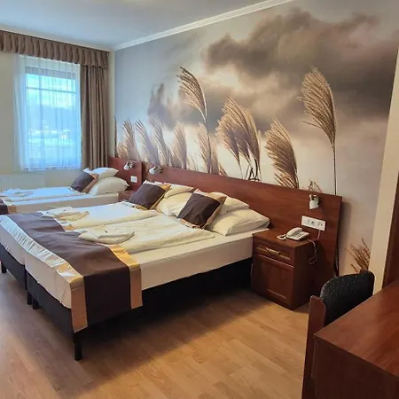 Patonai Hotel Fertőd
