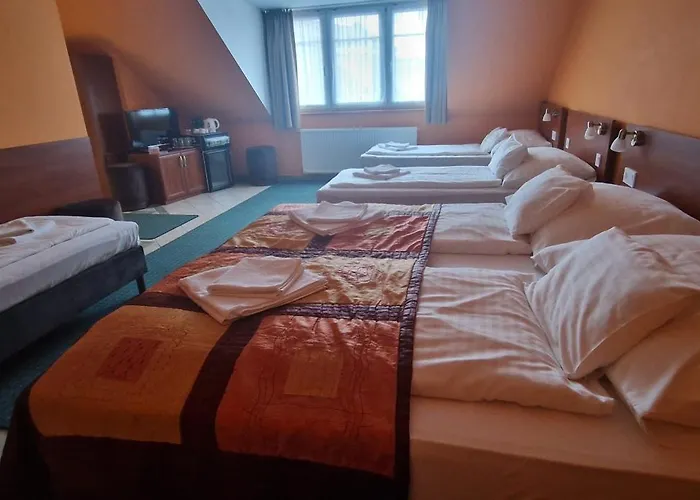 Patonai 3* Fertőd