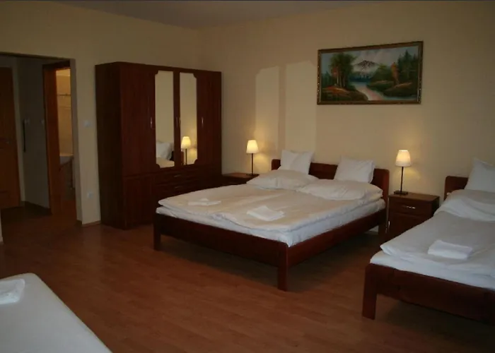Hotel Patonai
