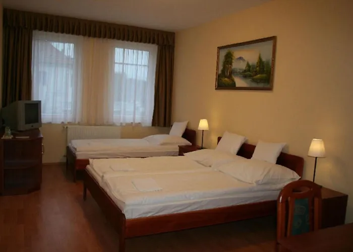 Patonai Otel Fertőd