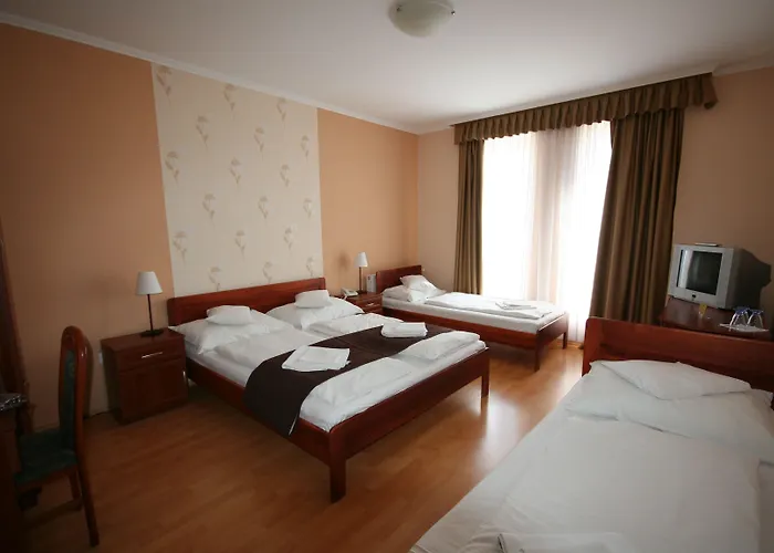 Patonai Hotel Fertőd