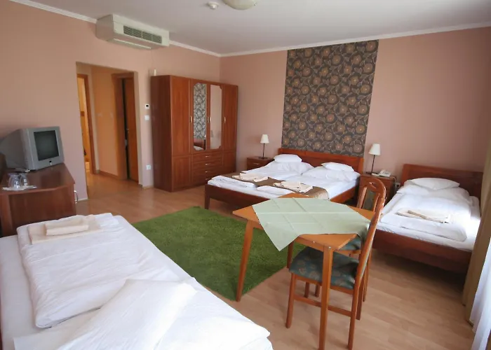 Hotel Patonai